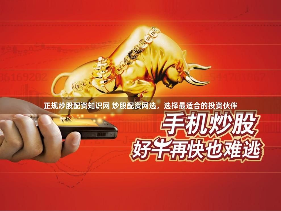正规炒股配资知识网 炒股配资网选，选择最适合的投资伙伴
