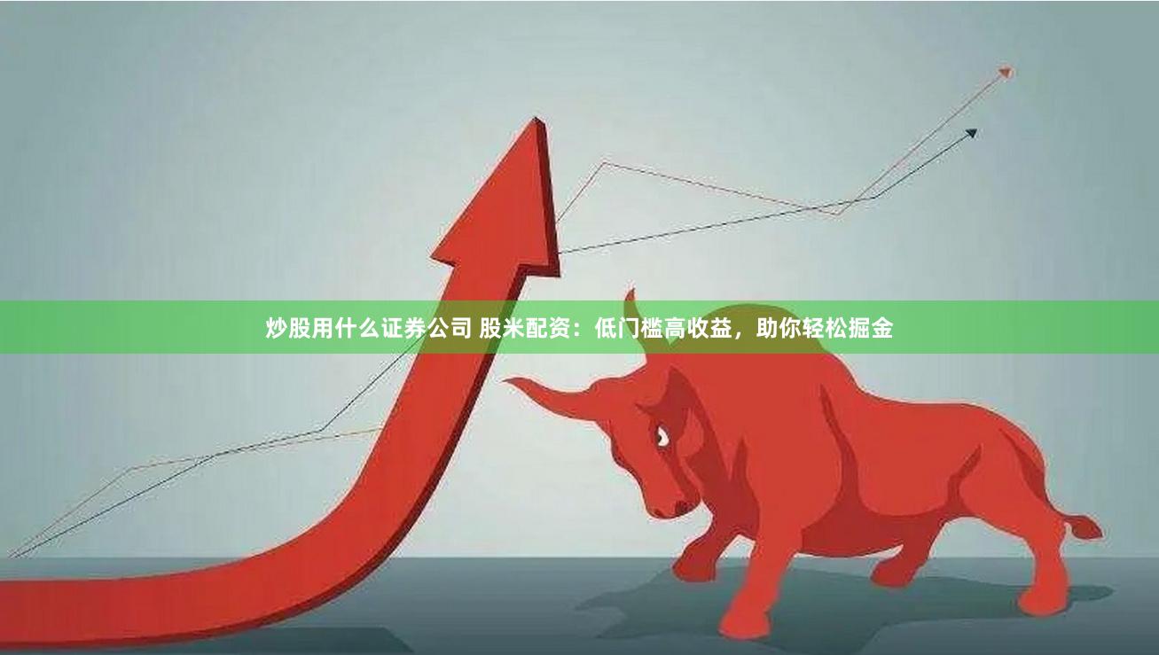 炒股用什么证券公司 股米配资：低门槛高收益，助你轻松掘金